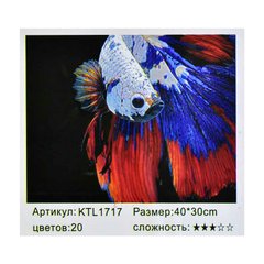Картина по номерам KTL 1717 (30) в коробке 40х30 купити в Україні