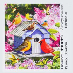 Картина за номерами HCEG 31706 (30) "TK Group", 30х40 см, “Пташки”, в коробці купити в Україні