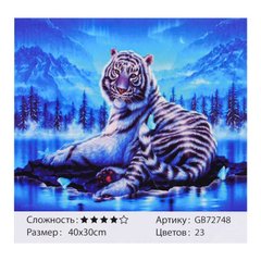 Алмазна мозаїка GB 72748 (30) 40х30 см, 23 кольори, в коробці купити в Україні
