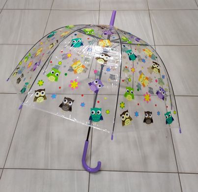 Зонтик детский MK 4913 Совы, трость, в пакете (6903317474134) Фиолетовый купить в Украине