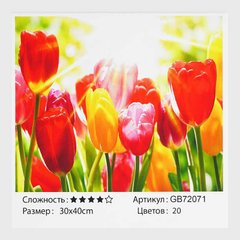 Алмазная мозаика "Тюльпаны" GB 72071 TK Group, 30х40 см, в коробке (6900066373879) купить в Украине