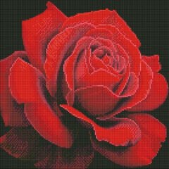 Алмазная мозаика "Красная роза" 40х40 см купить в Украине