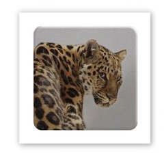 3D стікер "Wild cat" (ціна за 1 шт) купити в Україні