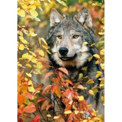 Алмазная мозаика, без подрамника "Волк в лесу" 30х40 см купить в Украине