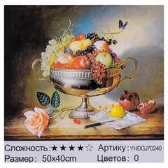 Картина за номерами + Алмазна мозайка 2в1 YHDGJ 70240 (30) 50х40см купити в Україні