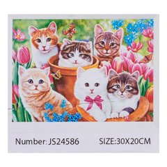 Алмазна мозаїка JS 24586 (50) "Тварини", 20х30см, в коробці купити в Україні