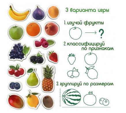Набір магнітиків "Фрукти і ягоди" купити в Україні