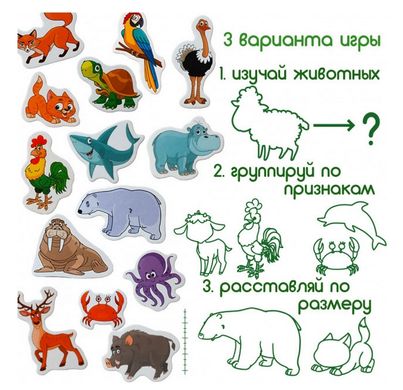 Набір магнітів "Тварини" купити в Україні