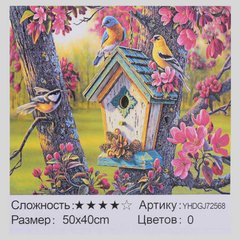 Картина за номерами + Алмазна мозайка 2в1 YHDGJ 72568 (30) 50х40см купити в Україні