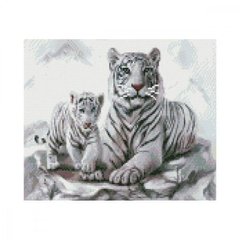 Алмазна мозаїка "Білі тигри" купити в Україні