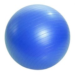 Мяч резиновый для фитнеса , 55 см (синий) купить в Украине