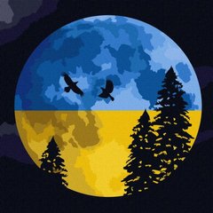 Картина за номерами "Вільне небо" купити в Україні