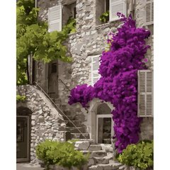 Картина по номерам "Фиолетовая стена" купить в Украине