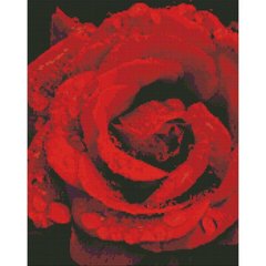 Алмазна мозаїка "Троянда в діамантах" 40х50 см купити в Україні