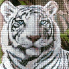 Алмазная мозаика без подрамника "Бенгальский тигр" 20х20 см купить в Украине