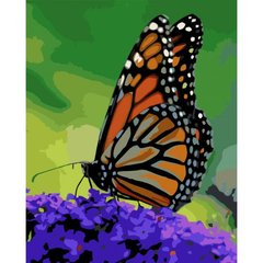 [0076] Картина по номерах 0076 ОРТ Помаранчевий метелик 40*50 купить в Украине