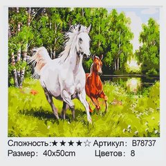 Картина за номерами + Алмазна мозаїка B 78737 (30) "TK Group", 40х50 см, "Коні", в коробці купити в Україні
