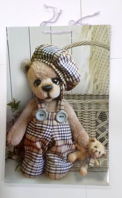 Пакет подарочный "Детский" 6009 цветной, гигант вертикальный 45 х 30 х 12см Медведь в костюме Вид 1 купить в Украине