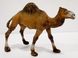 Тварини дикі Q9899-229 Animal Model від 11 см, 1 штука (6977153429726) Верблюд Вид 1