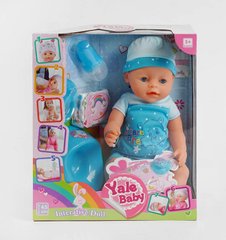 Пупс функциональный BL 014 A Yala Baby, 8 функций, с аксессуарами, в коробке (6982662433133) купить в Украине