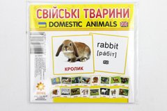 Карточки мини Домашние животные 110х110 мм УКР-АНГЛ купить в Украине