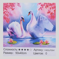 Картина за номерами + Алмазна мозайка 2в1 YHDGJ 70541 (30) 50х40см купити в Україні