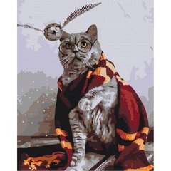 Картина за номерами "Котик ловець снітча" ★★★★ купити в Україні