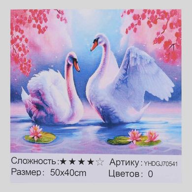 Картина по номерам + Алмазная мозайка 2в1 YHDGJ 70541 (30) 50х40см купить в Украине