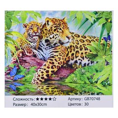 Алмазная мозаика GB 70748 (30) 40х30 см., 30 цветов, в коробке купить в Украине
