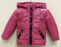 Куртка для мальчика 22181 бордового цвета 2г/92/28 купить в Украине