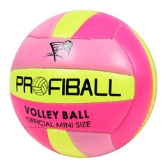 Мяч волейбольный EV 3159-1 (50шт) PROFIBALL, размер 2, ПВХ 2мм, 2слоя,18панелей, 100-120г,4цвета купить в Украине