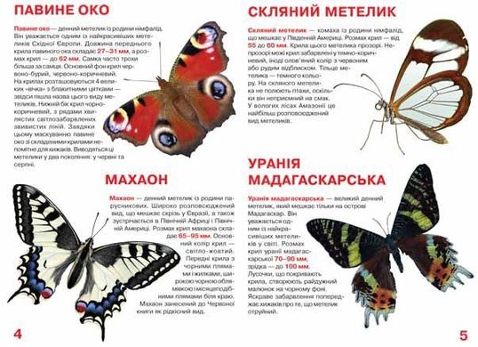 Книга "Велика книга. Бабочки" F00019393 Crystal Book (9789669367754) купить в Украине