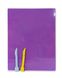 Досточка для пластилина + 2 стека для лепки SMART Line ZB.6912-99 Zibi (4823078981455) Фиолетовый купить в Украине