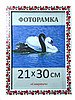 Фоторамка пластиковая 21х30, рамка для фото 2216-102(6) купить в Украине