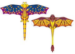 Воздушный змей C 50609 (600) 2 вида