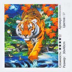 Картина за номерами HCEG 32665 (30) "TK Group", 40х30 см, "Тигр", в коробці купить в Украине