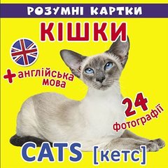[F00020496] Розумні картки. Кішки. 12 карток купить в Украине