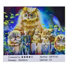 Алмазная мозаика GB 70161 (30) 40х30 см., 24 цвета, в коробке купить в Украине