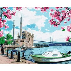 Картина по номерам "Яскравий Стамбул" ★★★★ купити в Україні