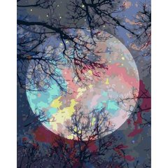 Картина по номерам "Ночные краски" 40x50 см купить в Украине