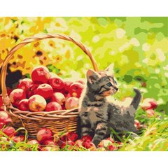 Яблучний котик купить в Украине