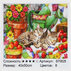 Картина за номерами + Алмазна мозаїка B 70628 (30) "TK Group", 40х50 см, в коробці купити в Україні