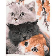 Картина по номерах "Три кота" 40x50 см купити в Україні