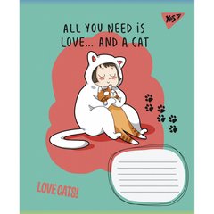 А5/18 лін. 1В Love cats, зошит учнів. купить в Украине