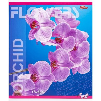 Зошит учнівський А5/60 кл. Flowers Orchid 3417D Мрії збуваються купити в Україні