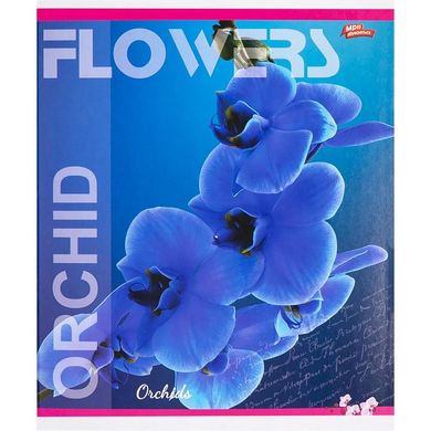 Зошит учнівський А5/60 кл. Flowers Orchid 3417D Мрії збуваються купити в Україні