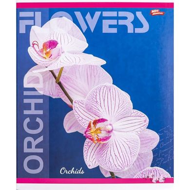 Тетрадь ученическая А5/60 кл. Flowers Orchid 3417D Мрії збуваються купить в Украине