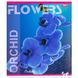 Тетрадь ученическая А5/60 кл. Flowers Orchid 3417D Мрії збуваються