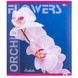 Тетрадь ученическая А5/60 кл. Flowers Orchid 3417D Мрії збуваються