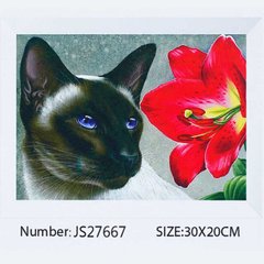 Алмазна мозаїка JS 27667 (50) "TK Group", 20х30 см, "Кіт з квіткою", в коробці купити в Україні